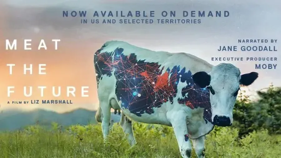 Imagem Meat-The-Future